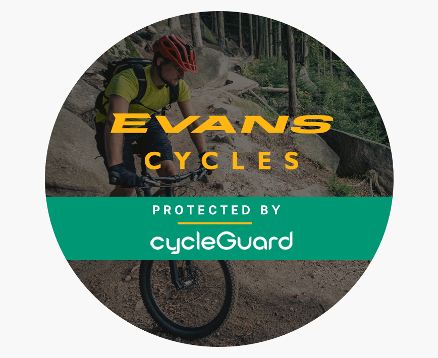 evans bike service cost